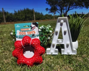Durable Round Red Toss and Chew Dog Toy