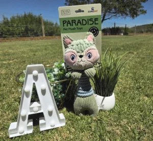 Durable Green, Pink and Blue Squirrel Dog Toy with Squeak