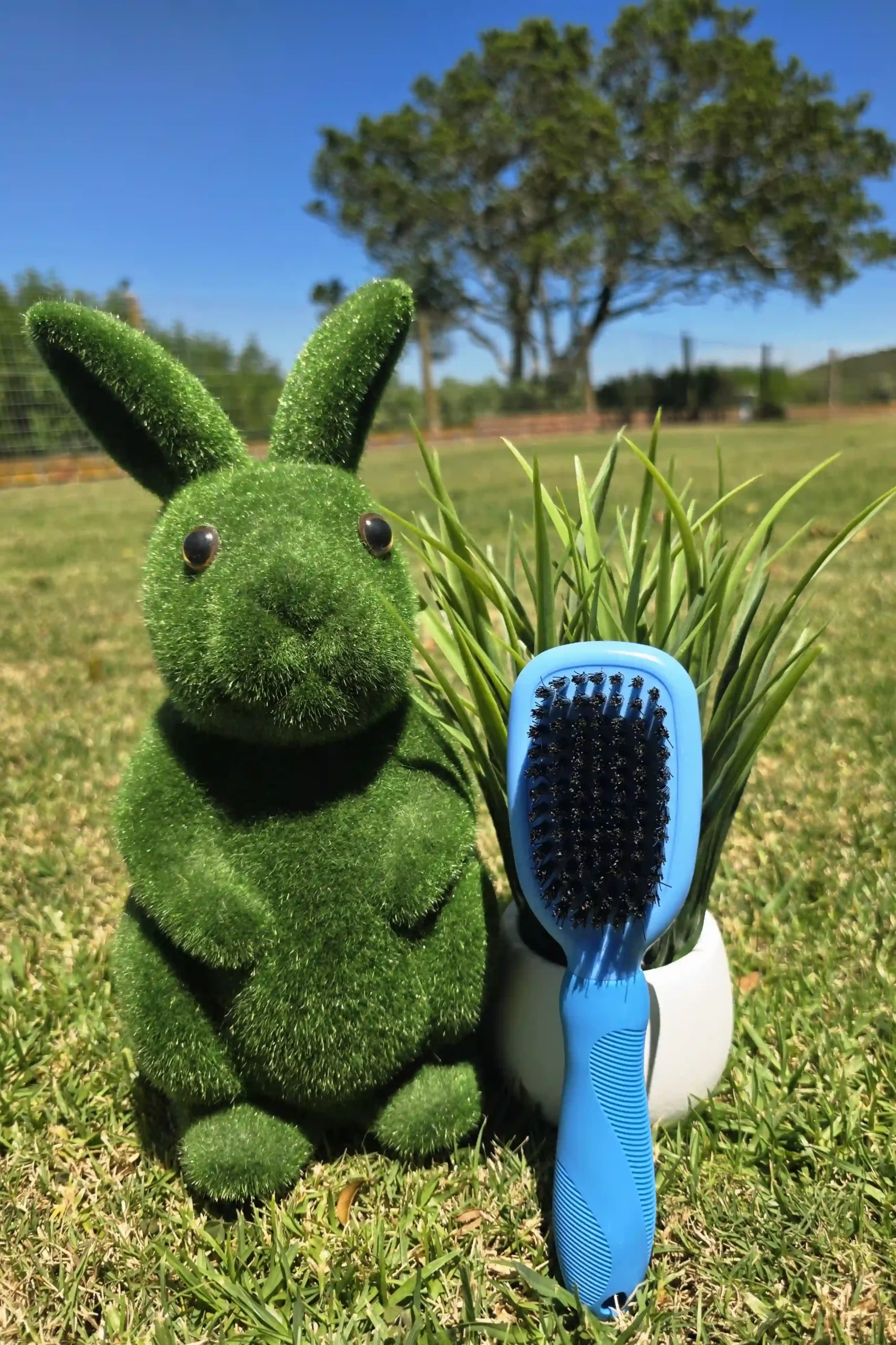 Pet Grooming Brush - Blue