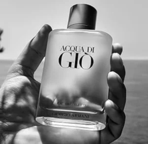 Giorgio Armani Acqua Di Gio EDT 100ml (Classic)